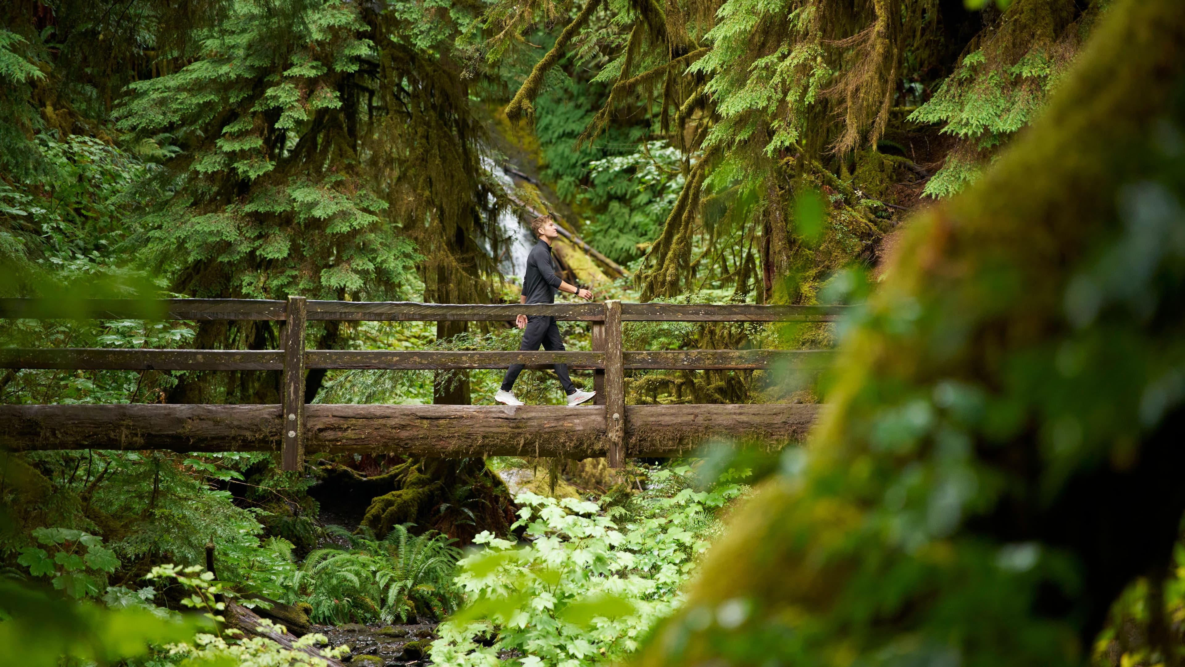 iFIT Trainer John Peel walking across a wooden footbridge through a mossy rainforest trail during the Olympic National Park progressive walk and hike series.